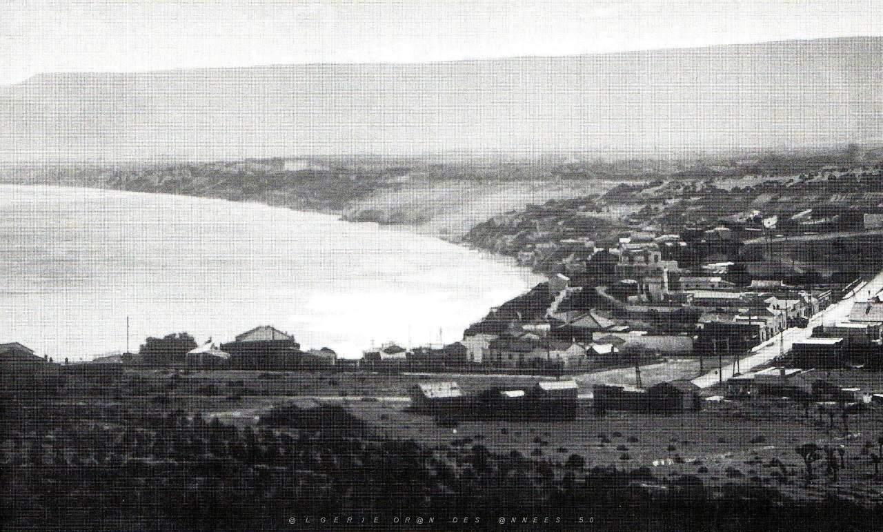 CAP FALCON PAR MONNERET   (10).JPG